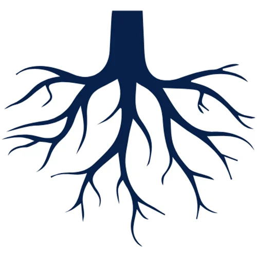 root