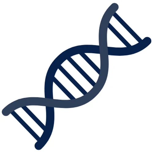 dna (3)